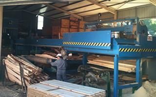 Maderas Ganceiros, S.L. trabajador cortando madera
